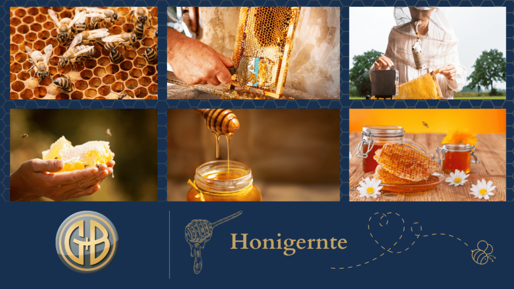 Bildkomposing rund um das Thema Honig. Waben mit Bienen...